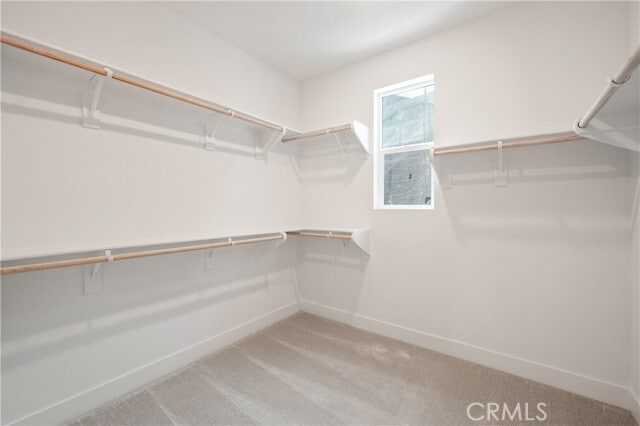 Building Photo - 239 Yerba