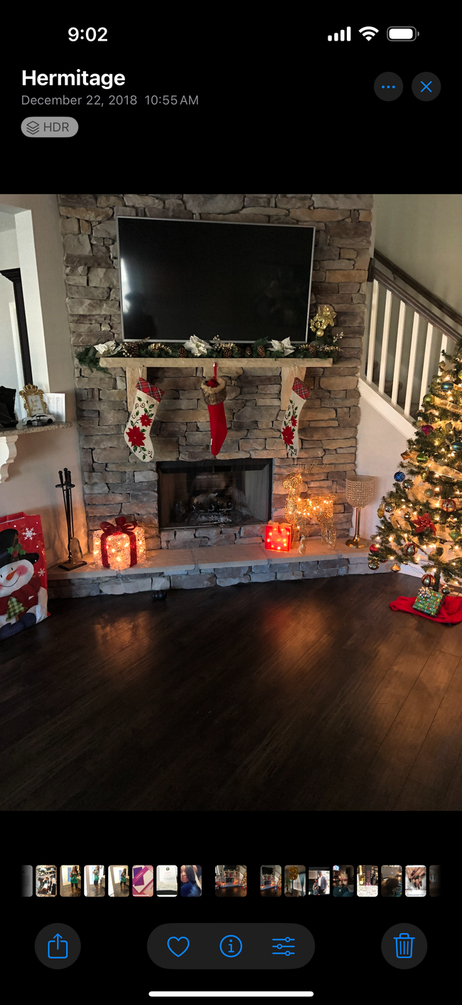 Living room with wood burning fireplace - 1337 Busiris Dr