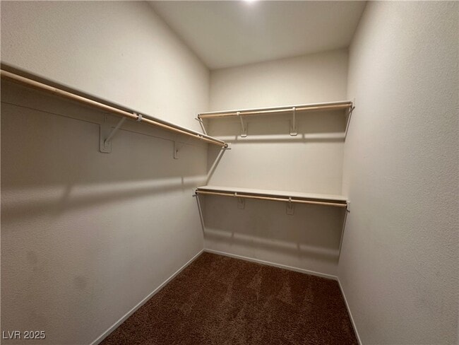 Building Photo - 1293 Luna del Oro Ln