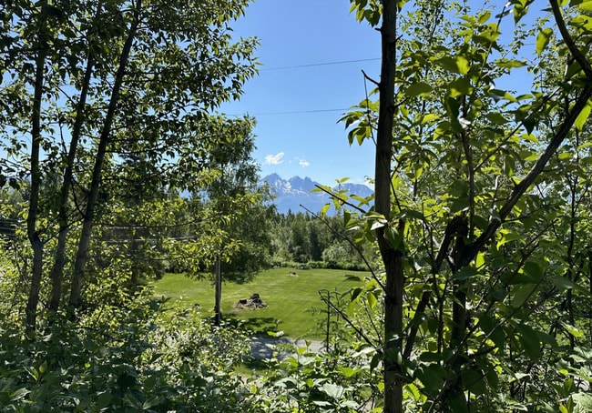 Building Photo - Incredible Mountain View home!