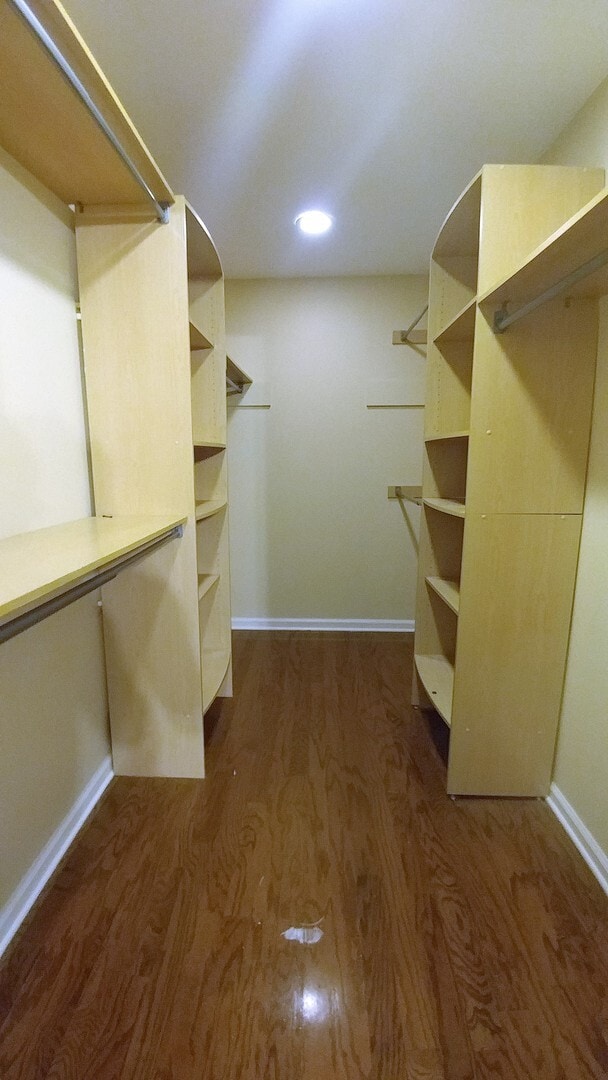 Building Photo - Large Executive Beauclerc Pool Home