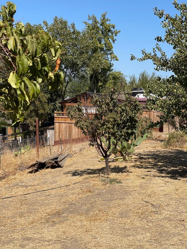 Building Photo - 5-Bedroom, 3-Bathroom Home for Rent on 1-A...