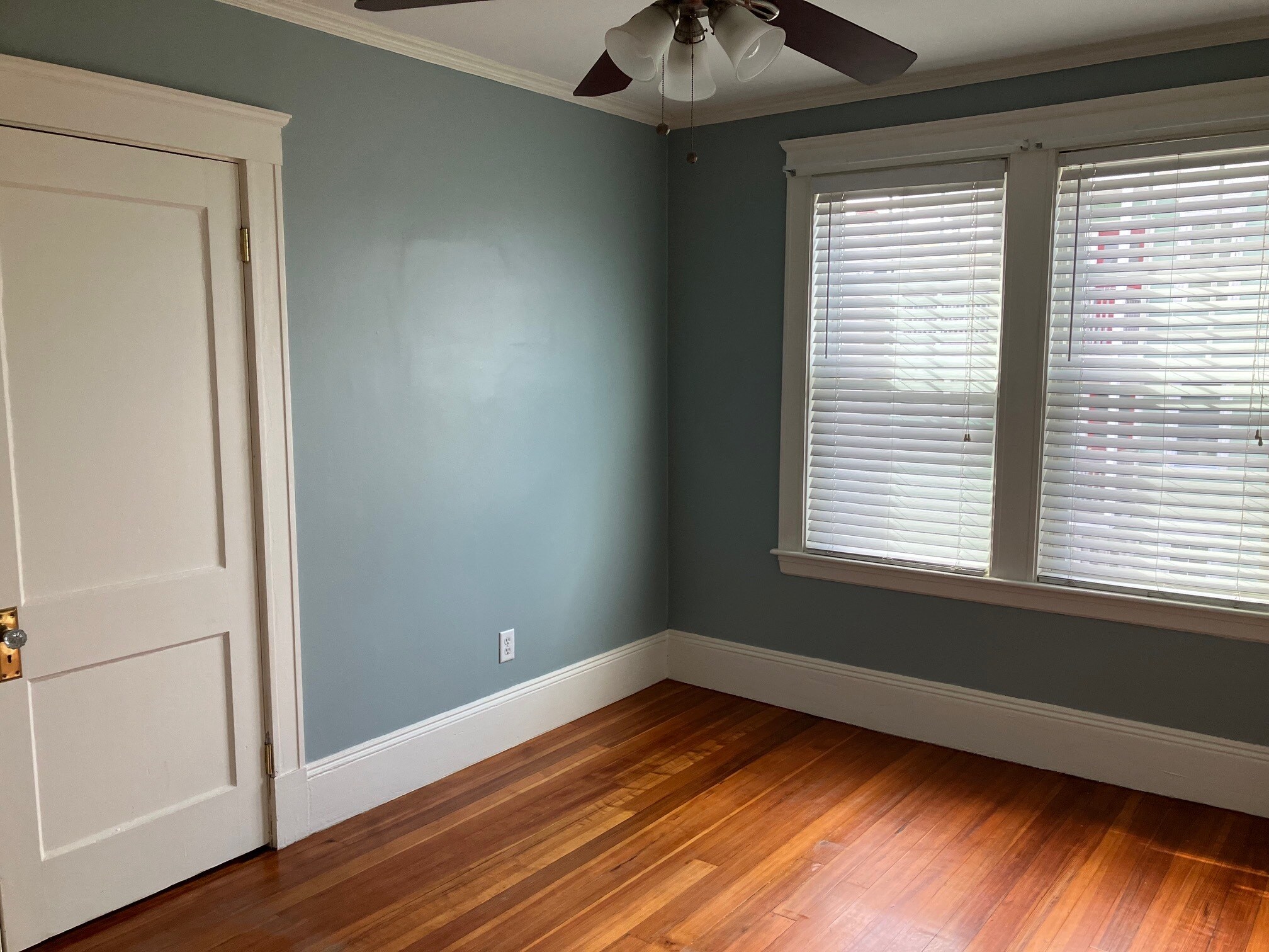 Building Photo - 43 Roslyn St