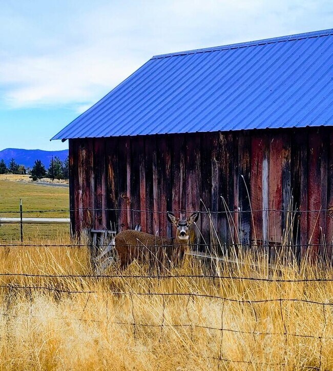 Building Photo - 23131 N Poe Valley Rd