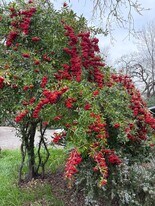 Building Photo - 3647 Walnut St