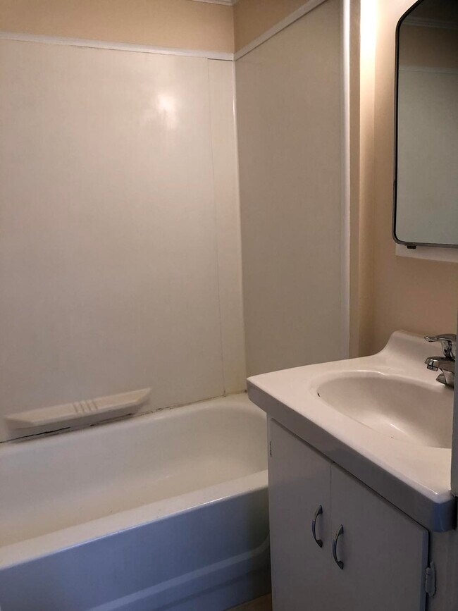 Full Bathroom with tub, sink, cabinets - 164 S River St