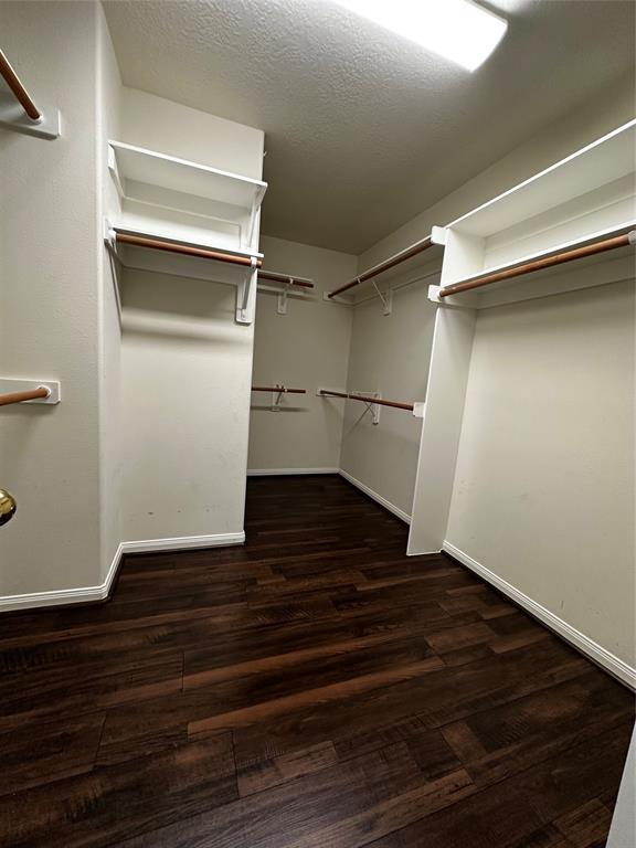 Building Photo - 3615 Shasta Ct