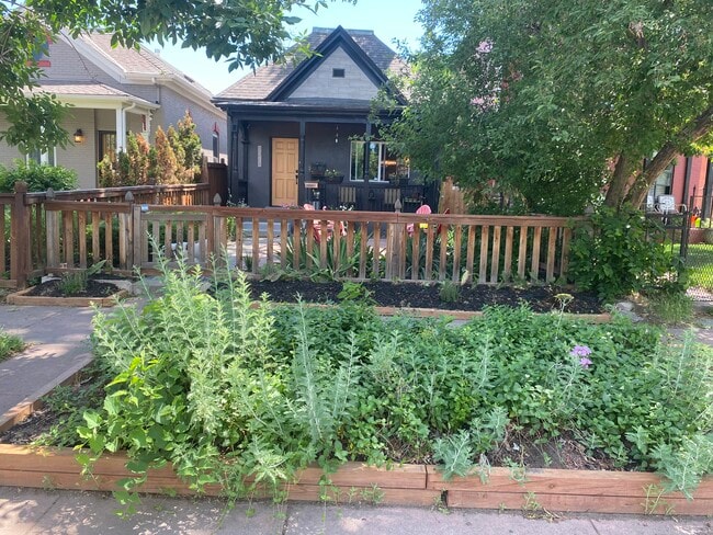 Primary Photo - 1268 Lipan St