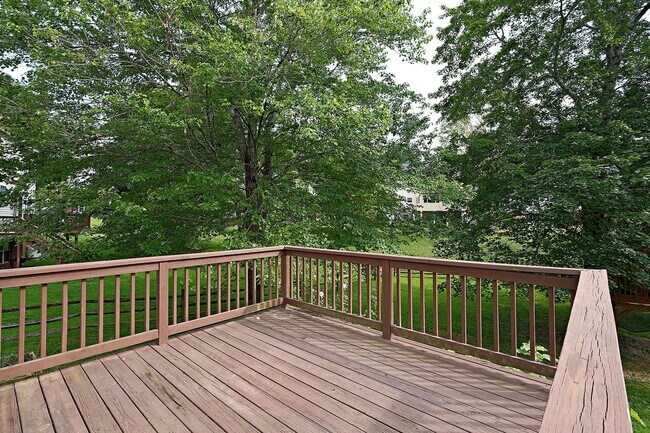 Building Photo - Pet-Friendly N. Albemarle Home With Fenced Yard