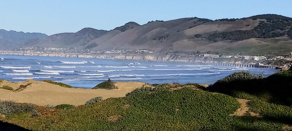Monarch butterfly walk close by! - 1945 La Jolla Ct