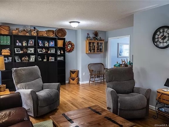 Living Room - 214 Alps Rd