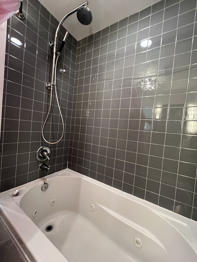 Master jet tub and shower - 219 K St NE