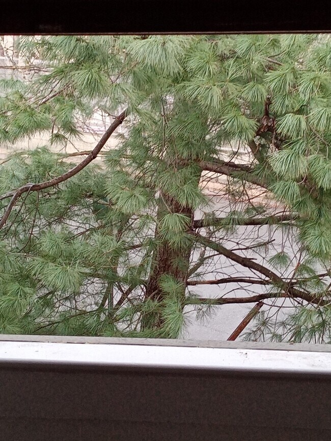 Primary Photo - 288 Montgomery St