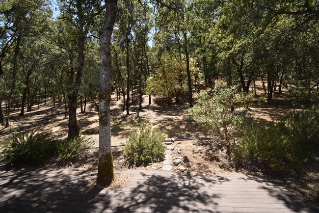 Building Photo - 20664 Chaparral Cir