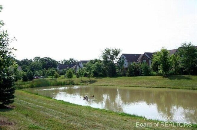 Building Photo - 3012 Orinoco Ln