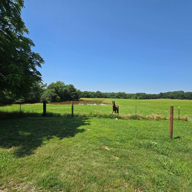 Building Photo - 3 Bed • 1 Bath • Stonework Home in Newark ...