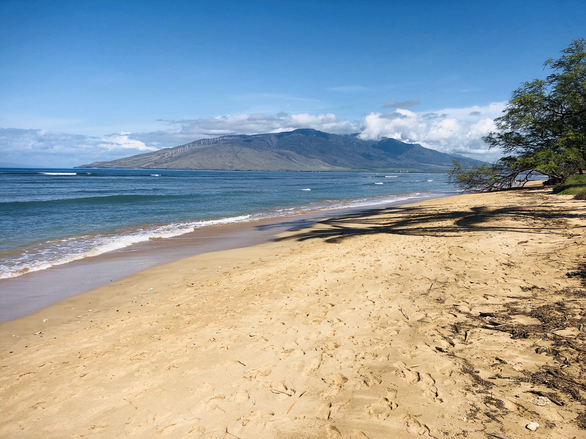 Beach next to condo - 50 Waiohuli St