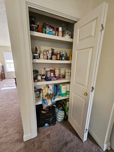 Building Photo - 545 Silver Leaf Dr