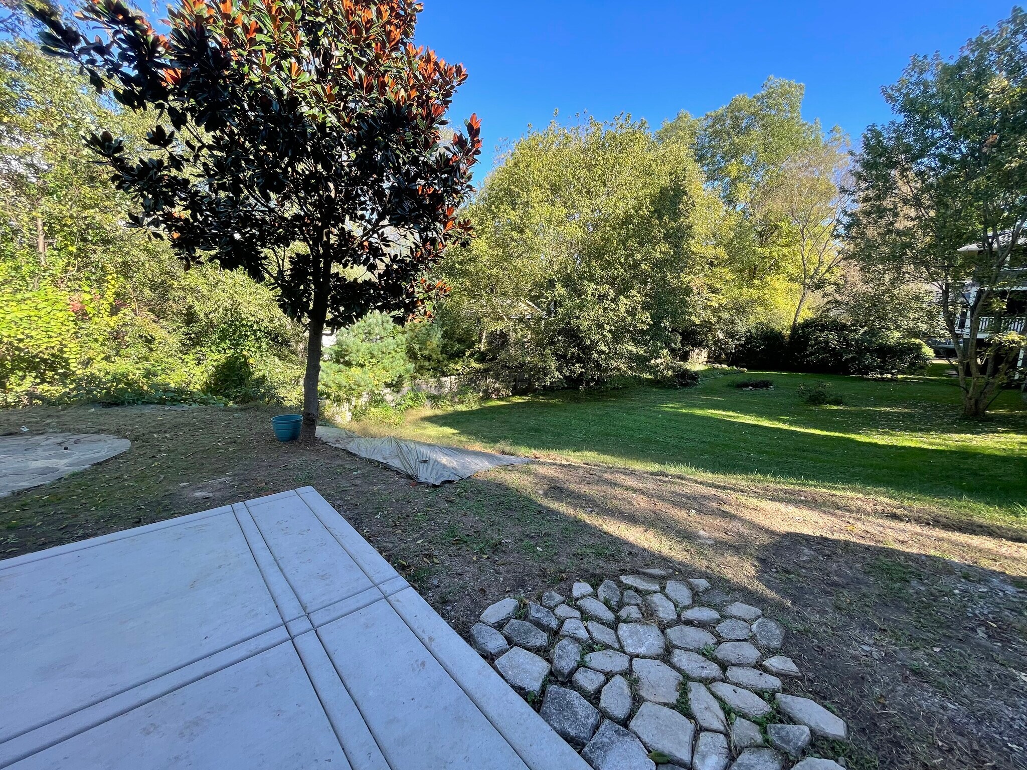 view from patio - 127 Flint St