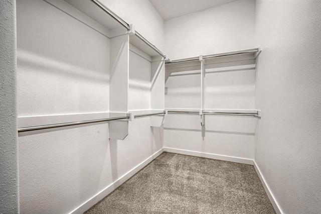Building Photo - 4865 Rattler Ln