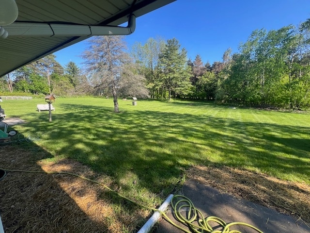 Open Backyard - 2336 Peppermill Rd