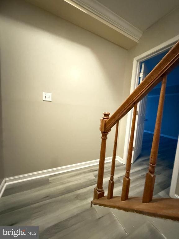 Building Photo - 208 Rugby Rd