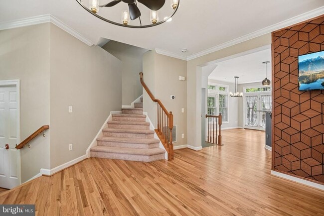 Building Photo - 8154 Skelton Cir