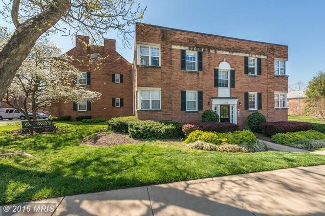 End unit with lots of windows and a view of a dogwood tree - 1800 West Abingdon Drive