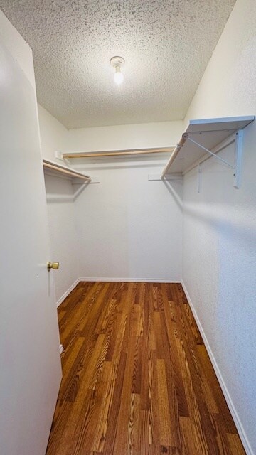 Building Photo - 3330 Bob White Ln