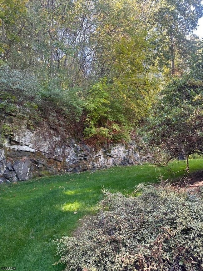 Building Photo - 51 Rushmore Ln