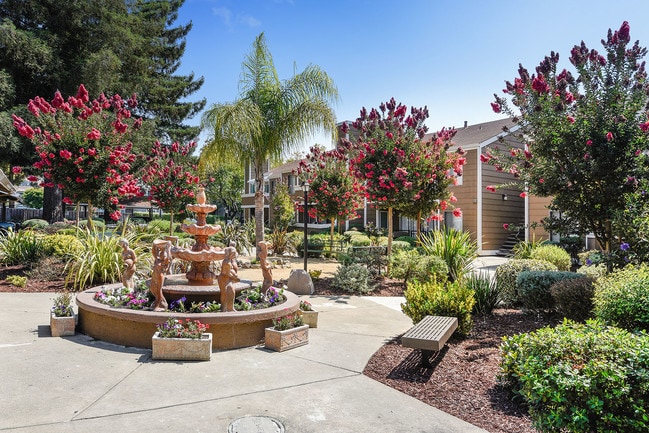 Building Photo - Town & Country Apartments