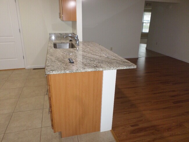 Kitchen Detail - Granite Counters -Breakfast Bar - 18 Klines Cv