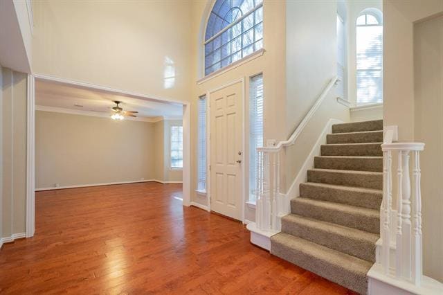 Building Photo - 703 Villanova Ct