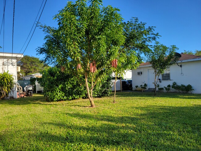 Building Photo - El Portal Village