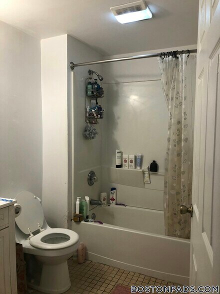 Building Photo - 62 Egmont St