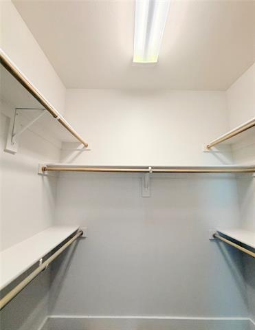 Building Photo - 212 Stellariga Pl