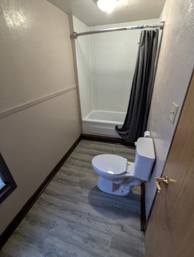 main bathroom, first floor - 2315 S Henry St