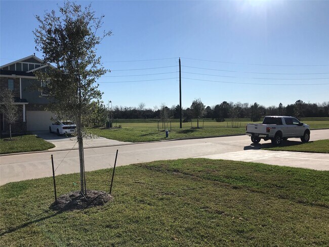 Building Photo - 21618 Lemon Beebrush Ln