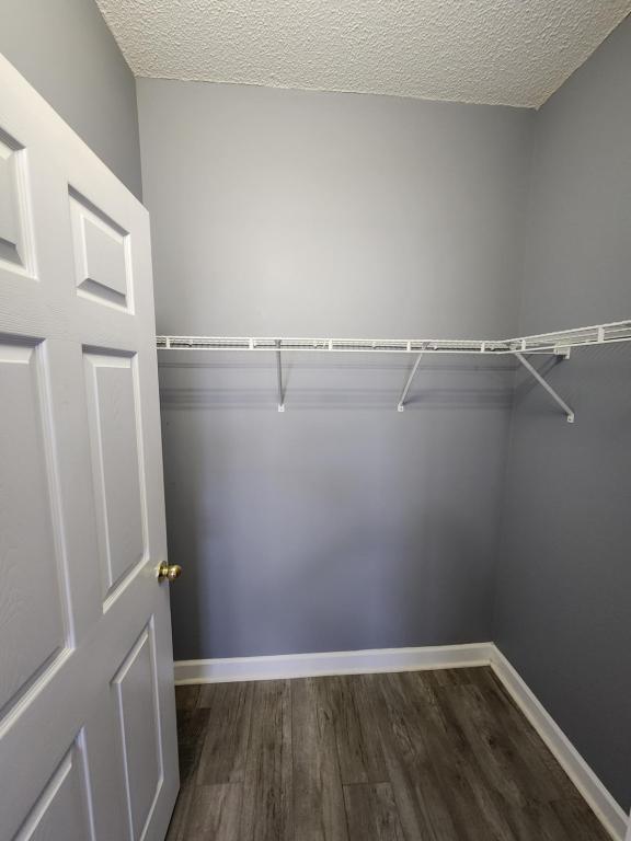 Building Photo - 302 Kiskadee Loop