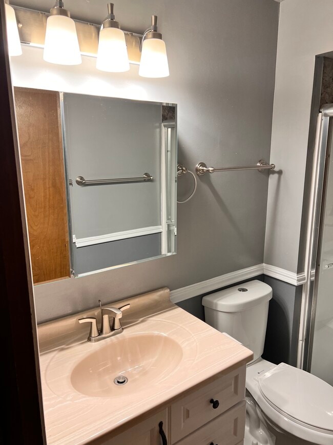 Master bathroom with shower. - 4315 Lindenwood Dr