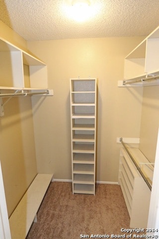 Building Photo - 4212 Medical Dr