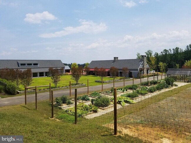 Building Photo - 2067 Alder Ln