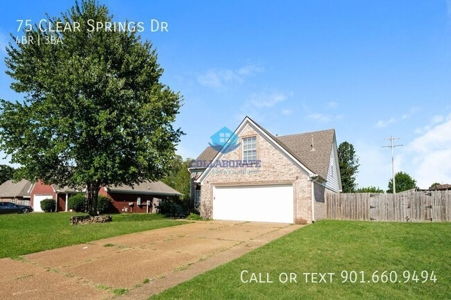 Building Photo - 75 Clear Springs Dr