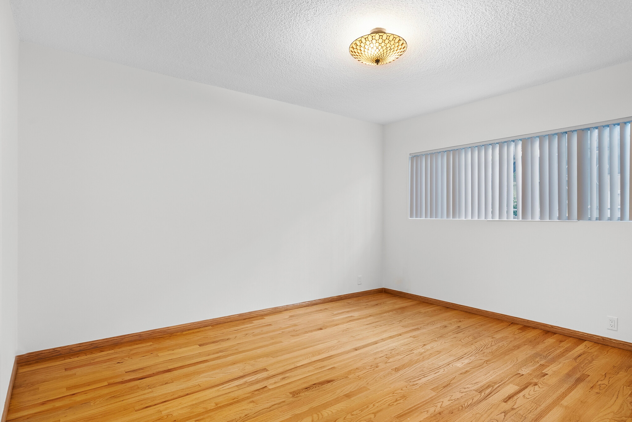 Building Photo - 824 S Shenandoah St