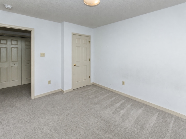 Building Photo - Charming 3BR/2BA One-Level Home with Vaulted Ceilings — Minutes to Fort Gregg-Adams — $1,795/mo!