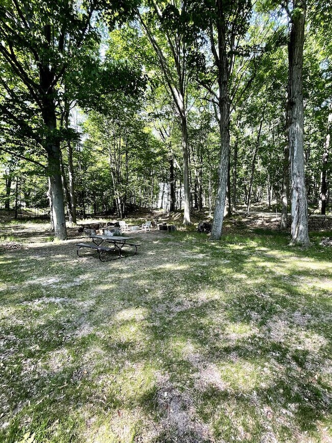Backyard - 5804 Barnhart Rd