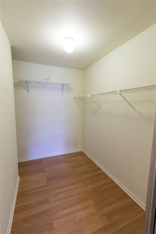 Building Photo - 2121 El Paseo St