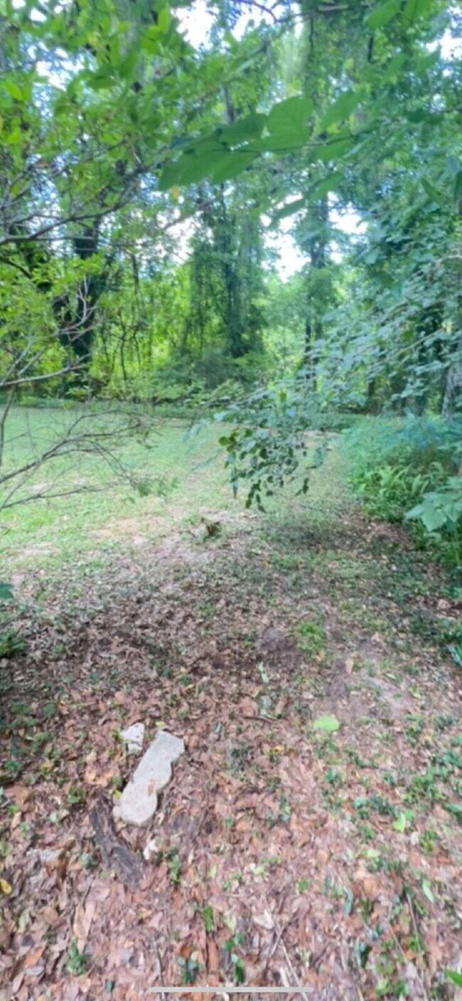 Building Photo - Large 2BD/ 2BTH with loft-Great Location