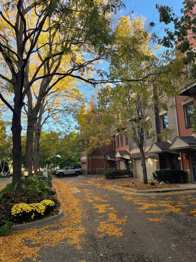 Building Photo - 556 E 32nd St