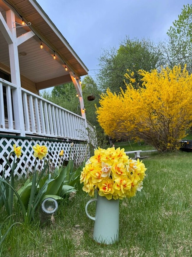 Building Photo - Beautiful 3 Bedroom House to rent @ Neck R...
